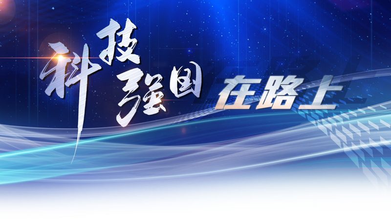 科技服务招标评分标准：关键要素与评估要点